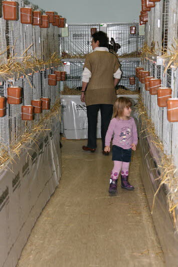 Kaninchenzuchtverein_Blessenbach_Lokalschau2012_029