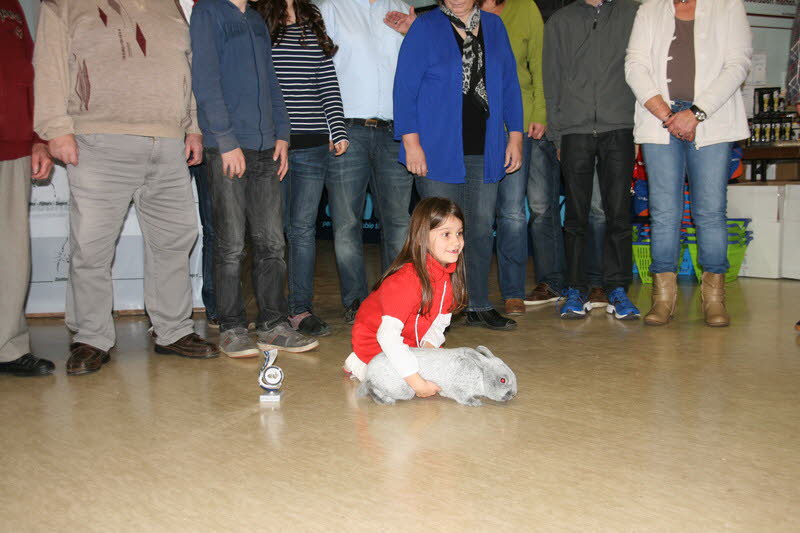 Kaninchenzuchtverein_Blessenbach_Lokalschau2013_24